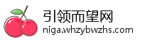 引领而望网